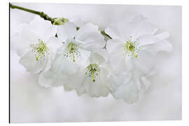 Magnettafel Frühlingsblüten II