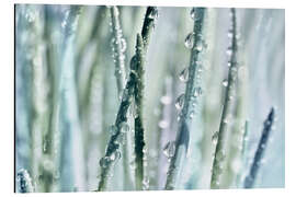 Magnettafel Wassertropfen an Grashalmen III - Atteloi