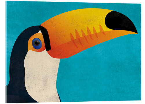 Acrylic print Toucan