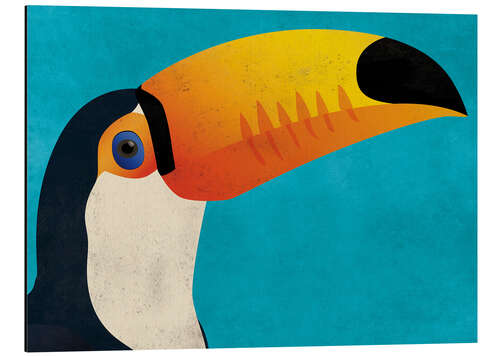 Aluminium print Toucan