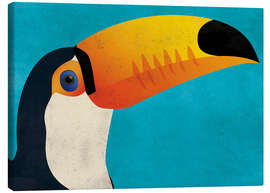 Canvas print  Toucan - coico