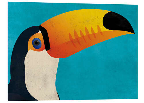 Foam board print Toucan