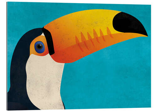 Gallery print Toucan