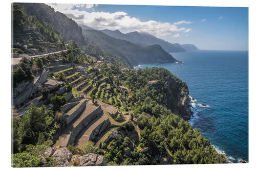 Akryylilasitaulu Terraces of Banyalbufar (Mallorca, Spain)