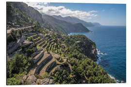 Aluminiumsbilde Terraces of Banyalbufar (Mallorca, Spain)