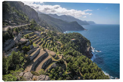 Lerretsbilde Terraces of Banyalbufar (Mallorca, Spain)