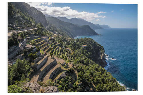 Foam board print Terraces of Banyalbufar (Mallorca, Spain)