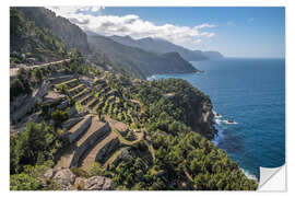 Naklejka na ścianę Terraces of Banyalbufar (Mallorca, Spain)