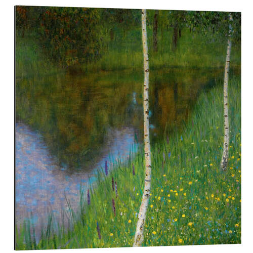 Tableau en aluminium Bouleaux