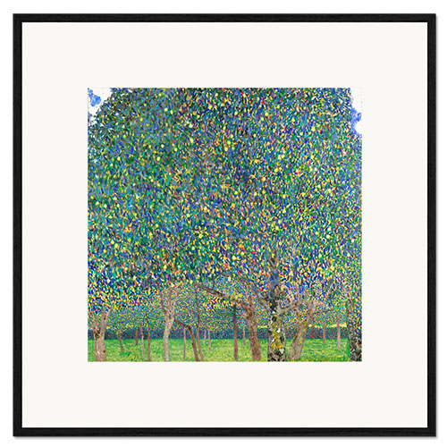 Gerahmter Kunstdruck Birnenbaum