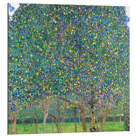 Magnettafel Birnenbaum