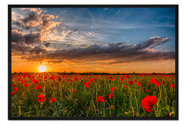 Gerahmter Kunstdruck Frühsommer in Bayern - Mohnblumenfeld