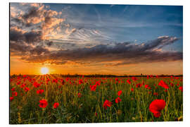 Magnettafel Frühsommer in Bayern - Mohnblumenfeld