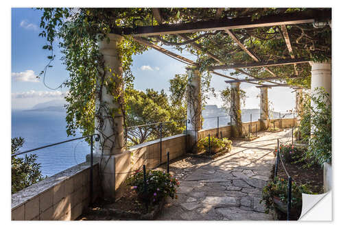 Naklejka na ścianę Garden of the Villa San Michele (Capri, Italy)