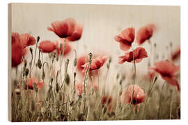 Quadro de madeira Poppy Dream