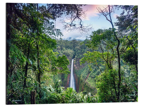 Aluminium print Rainforest and Waterfall, Costa Rica