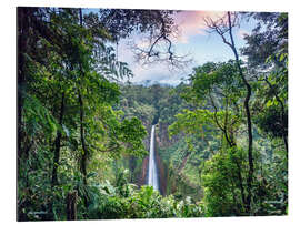 Quadro em plexi-alumínio Rainforest and Waterfall, Costa Rica