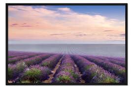 Gerahmter Kunstdruck Landschaft: Lavendelfeld im Sommer bei Sonnenaufgang, Provence, Frankreich