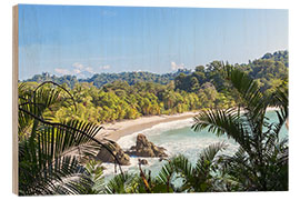 Quadro de madeira Beach and tropical forest, Manuel Antonio National Park, Costa Rica - Matteo Colombo