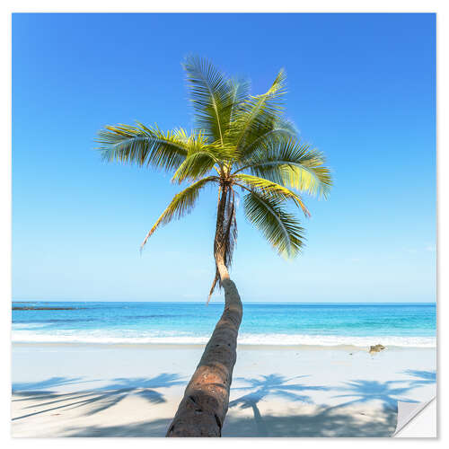 Sisustustarra Palm on the beach, Costa Rica