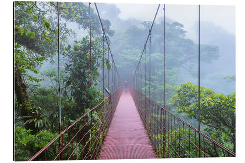 Gallery Print Wanderer auf einer Hängebrücke, Costa Rica