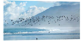 Akryylilasitaulu Terns at Rapahoe beach