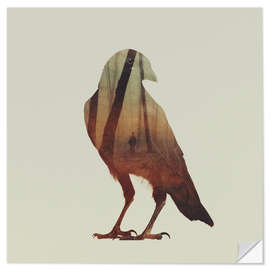 Wall sticker crow