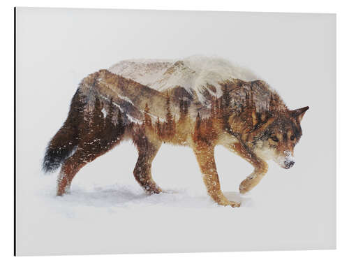 Tableau en aluminium Loup arctique