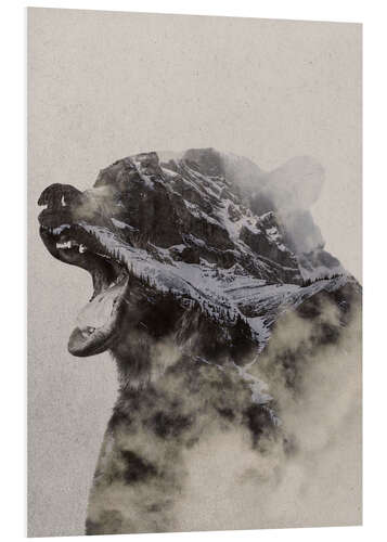 Foam board print Bear In The fog