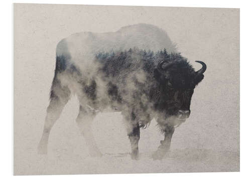 Foam board print Bison in the fog