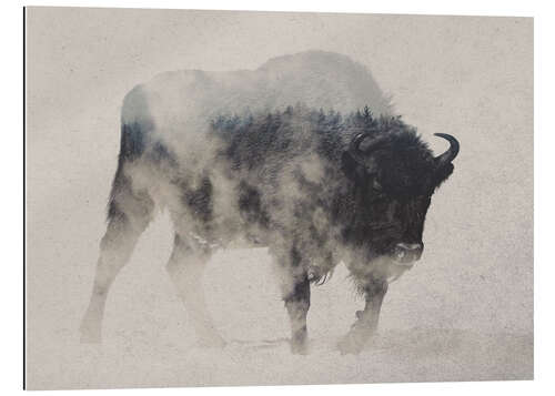 Gallery print Bison in the fog