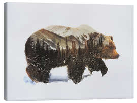 Tableau sur toile  Grizzli dans la neige - Andreas Lie