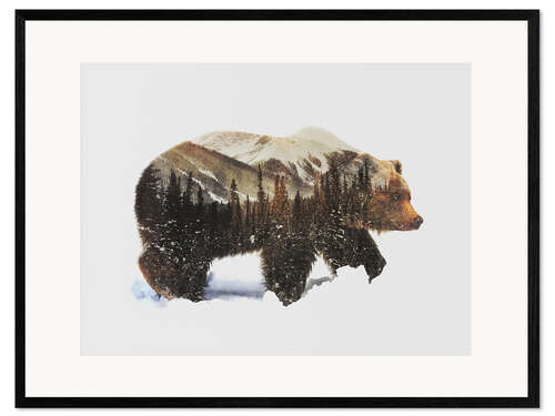 Gerahmter Kunstdruck Arktischer Grizzlybär