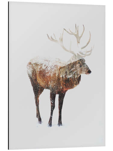 Aluminium print Arctic Deer