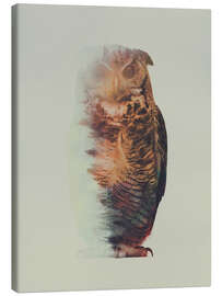 Quadro em tela  Norwegian Woods The Owl - Andreas Lie