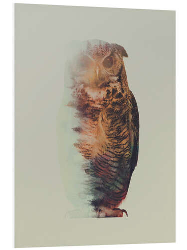 PVC-tavla Norwegian Woods The Owl