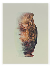 Poster Chouette en forêt norvégienne - Andreas Lie