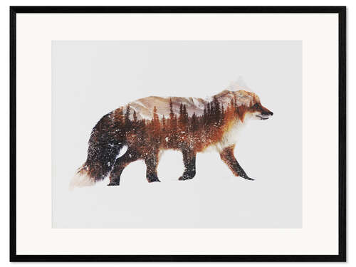 Framed art print Arctic Red Fox