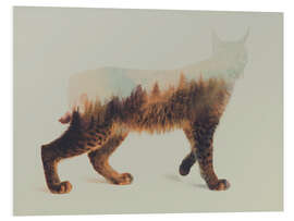 Foam board print Norwegian Woods The Lynx