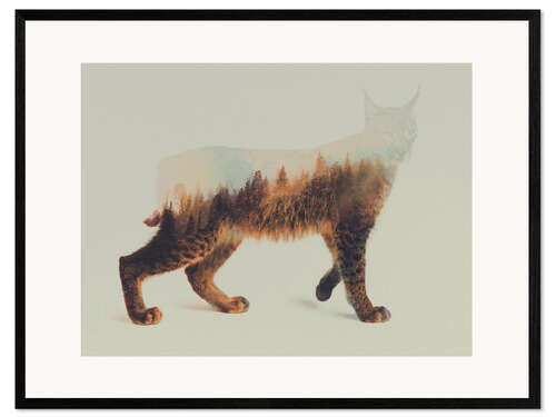 Framed art print Norwegian Woods The Lynx