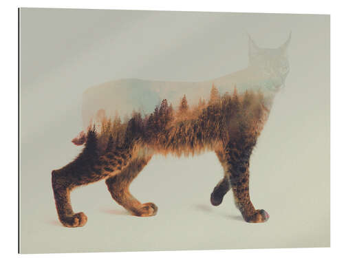 Gallery print Norwegian Woods The Lynx