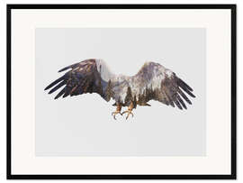 Framed art print Arctic Eagle