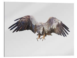 Quadro em plexi-alumínio Arctic Eagle