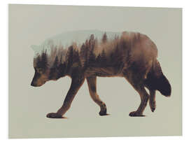 Foam board print Norwegian Woods The Wolf