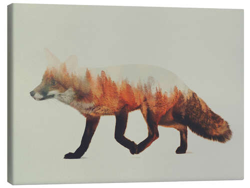 Quadro em tela Norwegian woods, The Fox