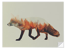 Sisustustarra Norwegian woods, The Fox