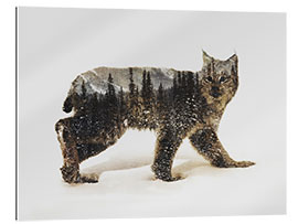 Gallery print Arctic Lynx