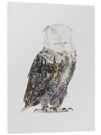 Foam board print Arctic Owl