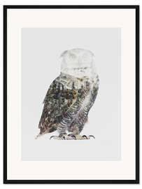 Gerahmter Kunstdruck Arktische Eule