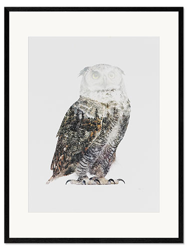 Kehystetty taidepainatus Arctic Owl